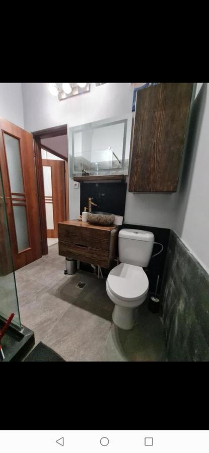 Central Designer Flat Oradea Bagian luar foto