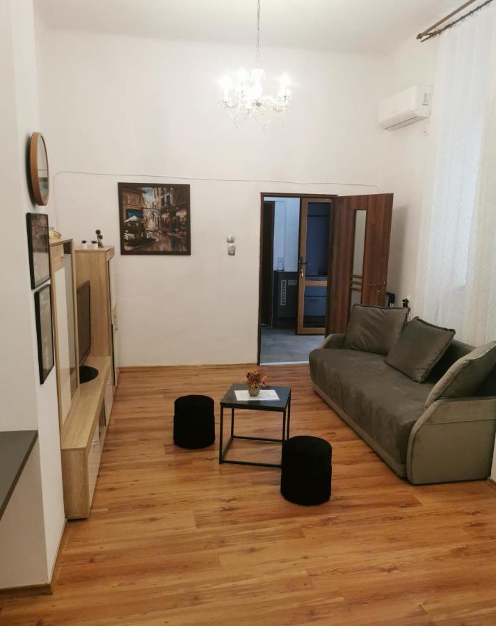 Central Designer Flat Oradea Bagian luar foto
