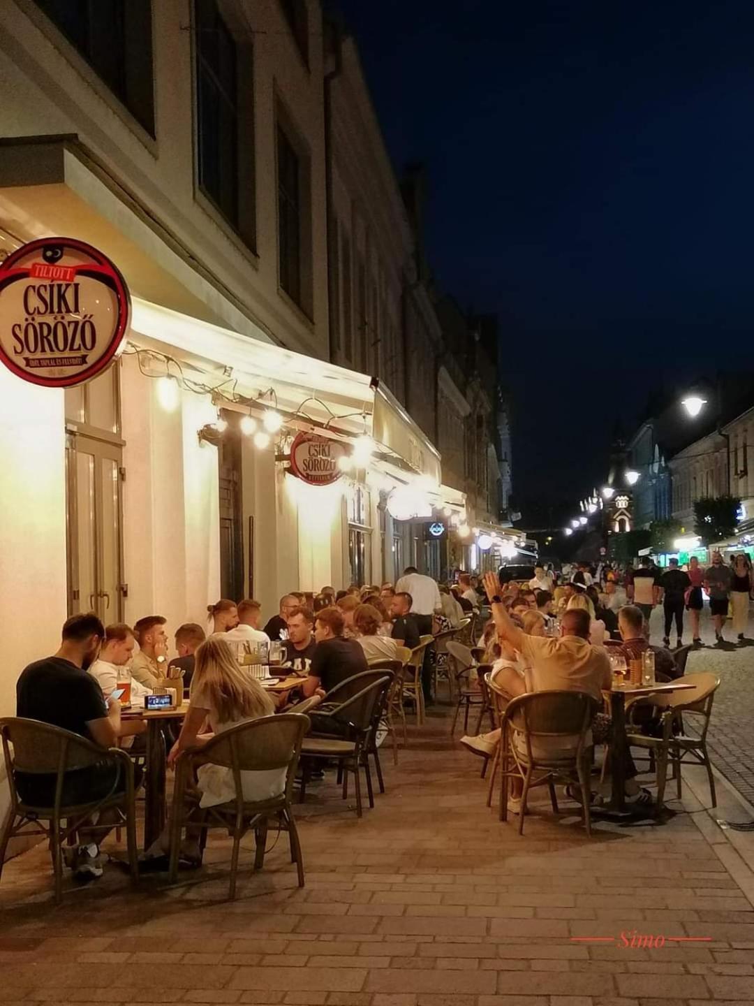 Central Designer Flat Oradea Bagian luar foto